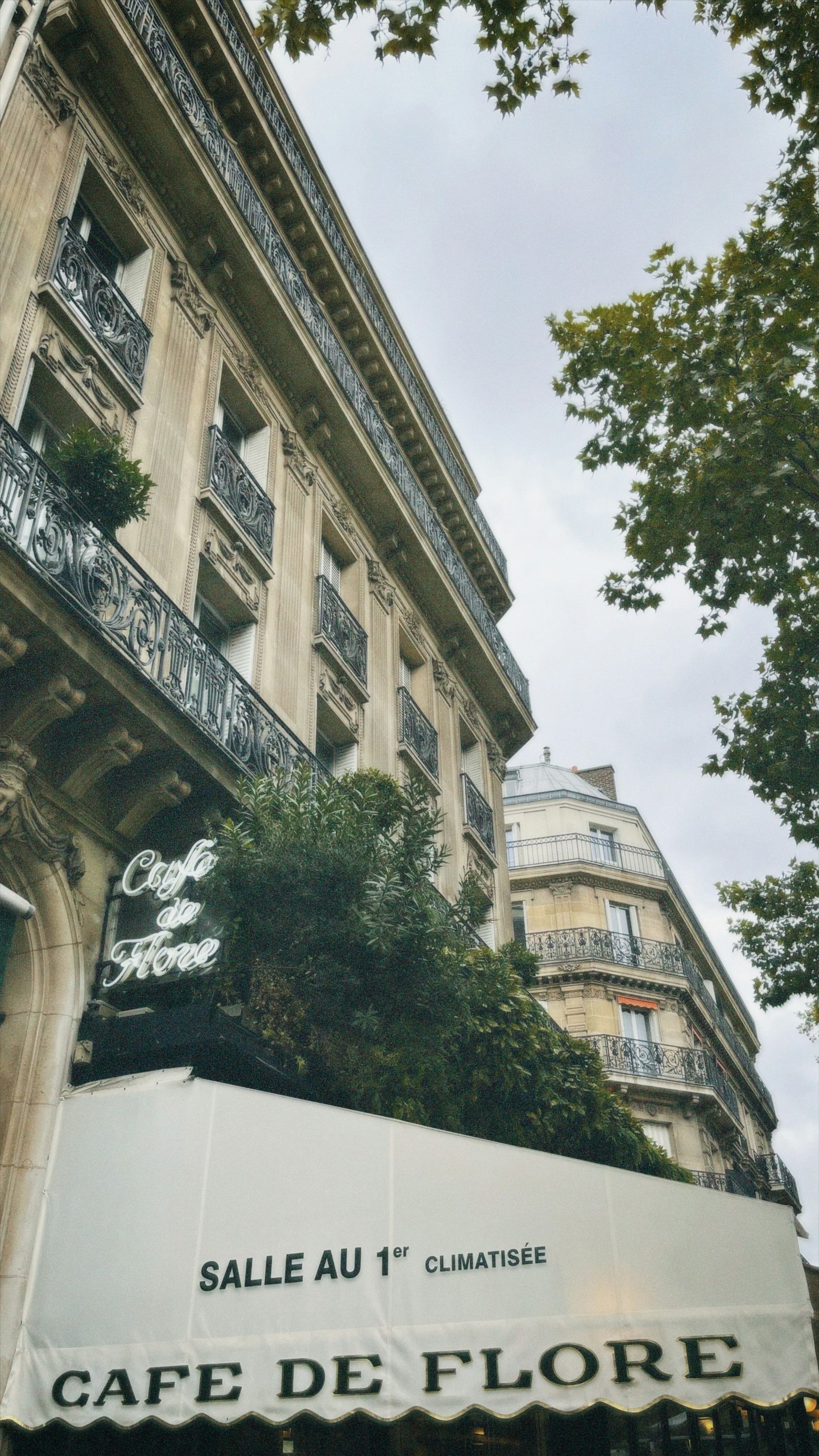 The classic art deco façade and pavement terrace of Café de Flore in Paris